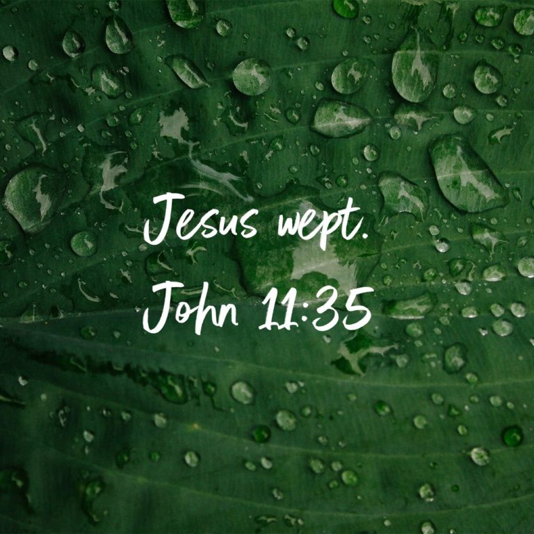 Family Time – John 11:35