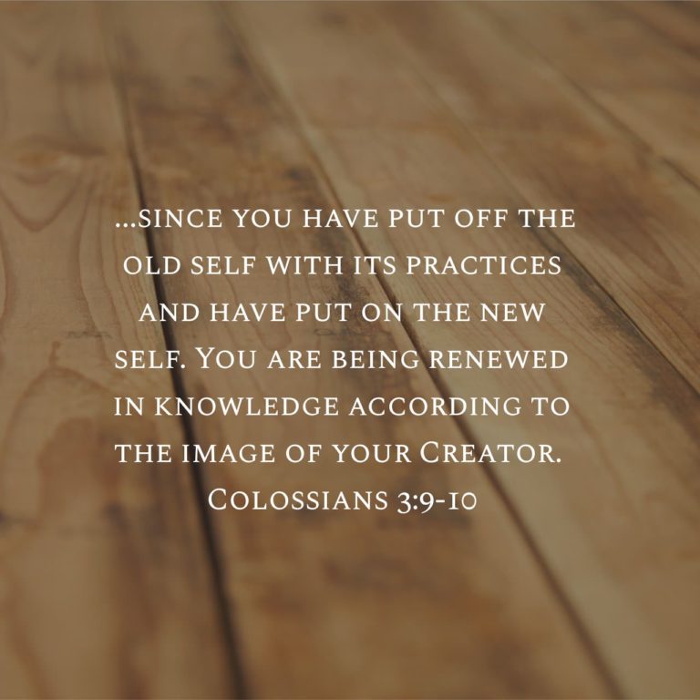 Family Time – Colossians 3:9b-10